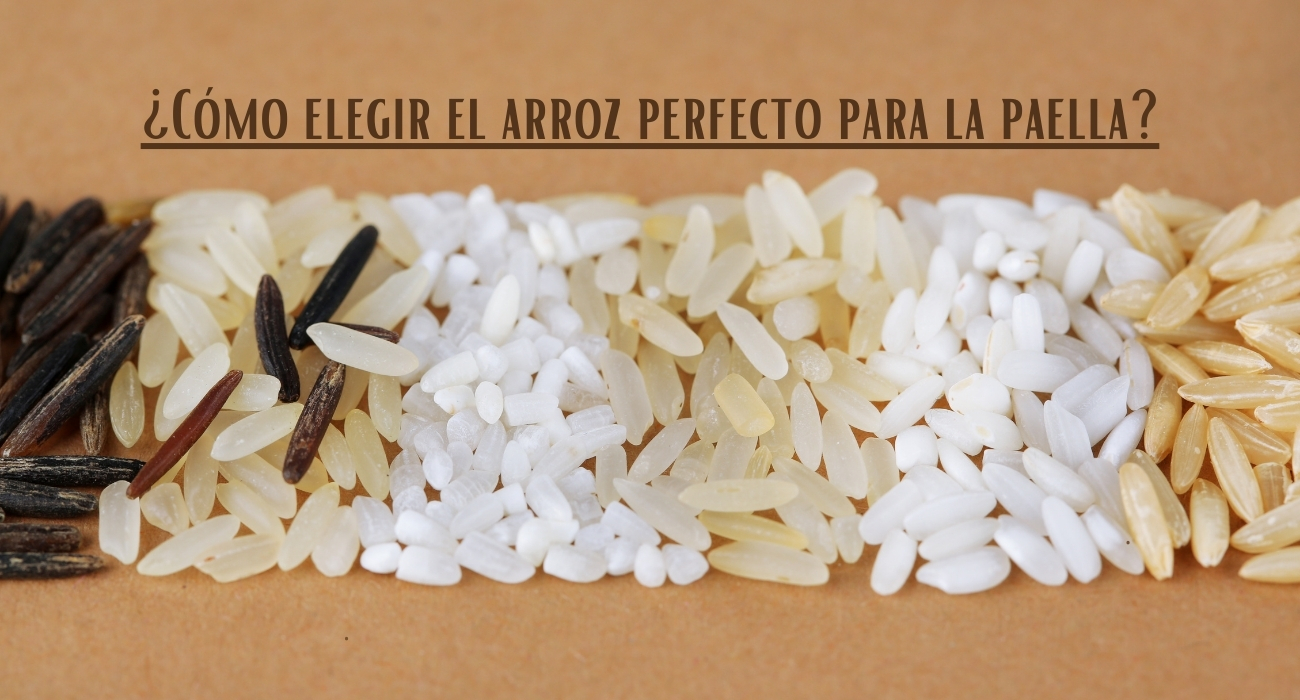 ¿Cómo elegir el arroz perfecto para la paella?