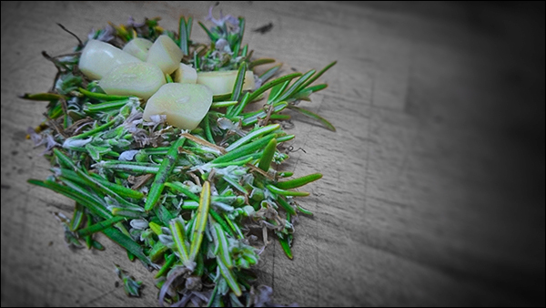 Aceite de Romero | Aprende a elaborar tu propio Aceite